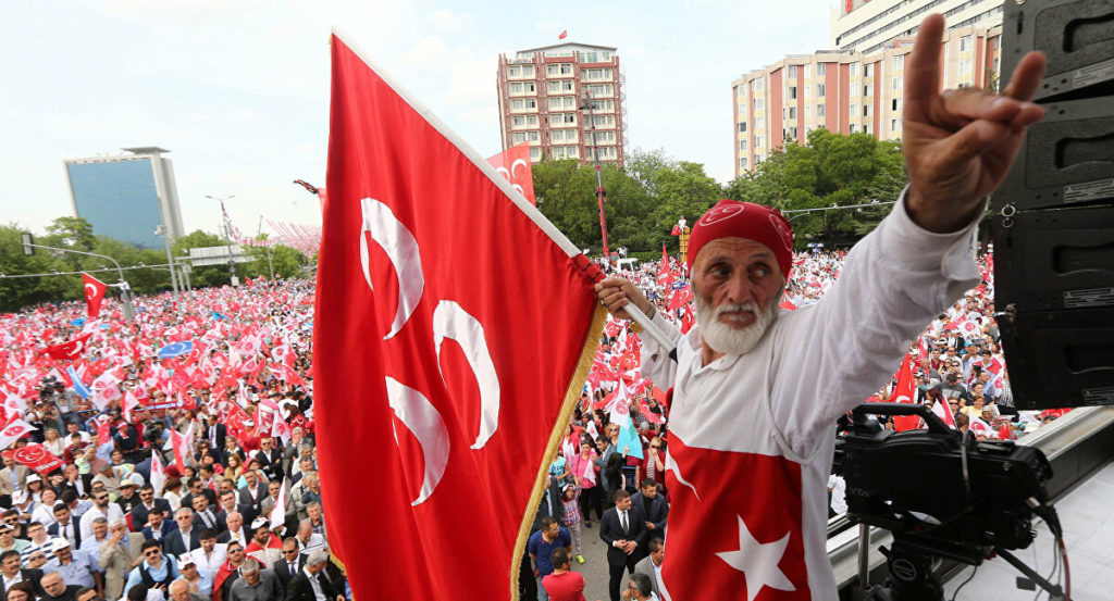 Grey Wolves, a radical Turkish, neo fascist organization